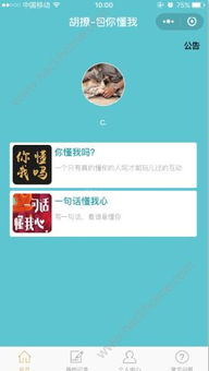 胡撩答題軟件探秘 功能、安全性與重慶軟件開發環境解析